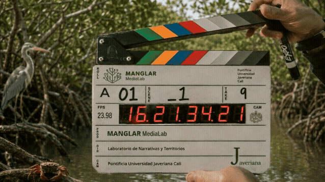 adobe express video action the upper stick of the clapperboard moves downward in a smooth, swift motion to close against the main bo...